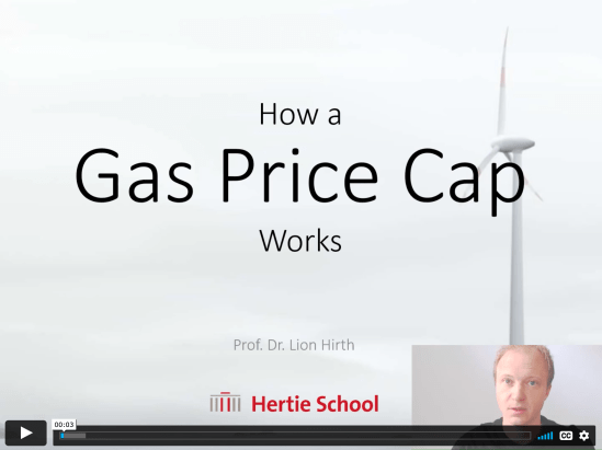 Hirth_Gas price cap